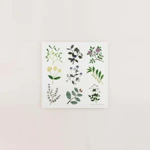 PLANTS アートポスター 20×20cm 青山佳世 a good view